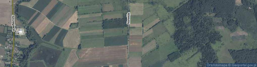 Zdjęcie satelitarne Norwida Cypriana Kamila ul.