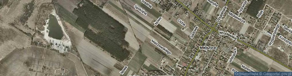 Zdjęcie satelitarne Nowa ul.