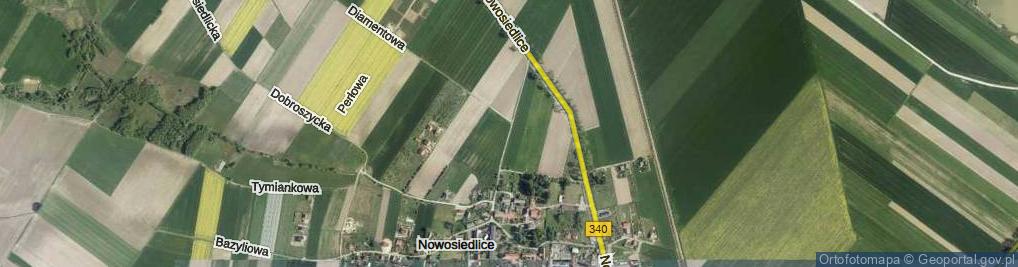 Zdjęcie satelitarne Nowosiedlice ul.