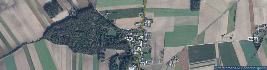 Zdjęcie satelitarne Nowa ul.