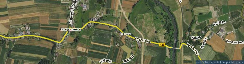 Zdjęcie satelitarne Odrzańska ul.