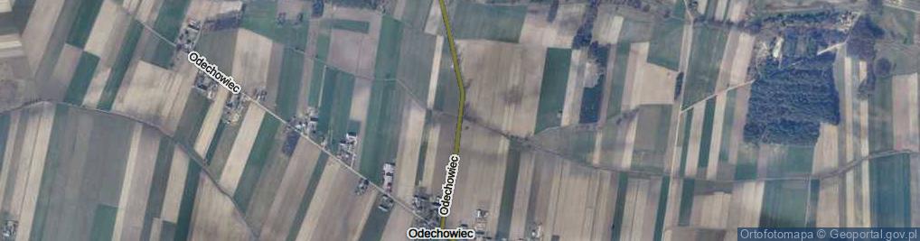 Zdjęcie satelitarne Odechowiec ul.