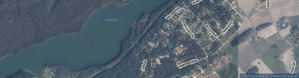 Zdjęcie satelitarne Ogniskowa ul.