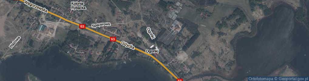 Zdjęcie satelitarne Ogonki ul.