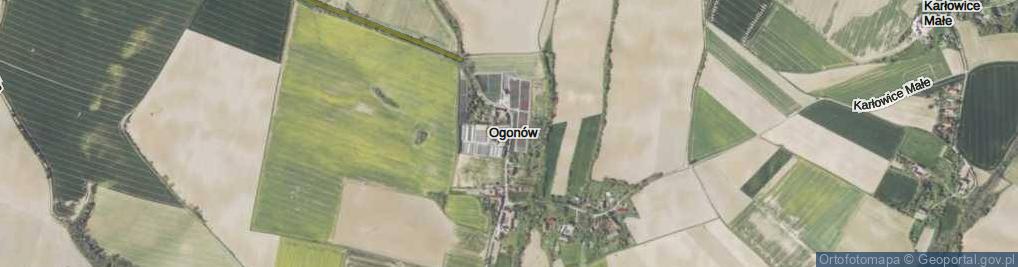 Zdjęcie satelitarne Ogonów ul.