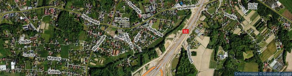 Zdjęcie satelitarne Ojcowska ul.