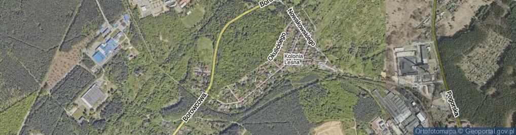 Zdjęcie satelitarne Okulickiego-Niedźwiadka Leopolda, gen. ul.