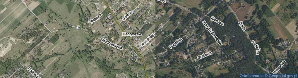 Zdjęcie satelitarne Okulickiego-Niedźwiadka Leopolda, gen. ul.