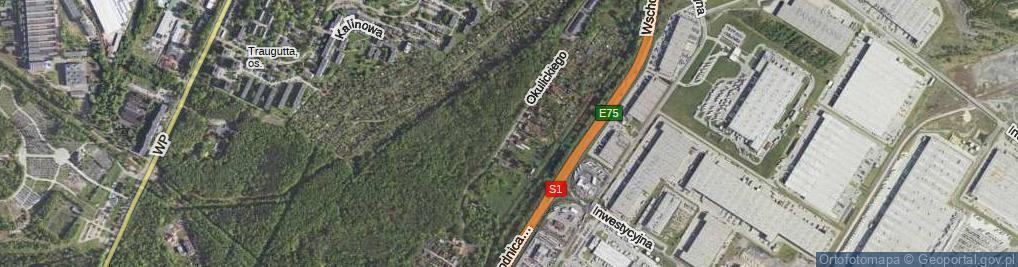 Zdjęcie satelitarne Okulickiego-Niedźwiadka Leopolda, gen. ul.