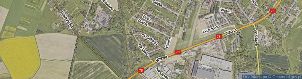 Zdjęcie satelitarne Okulickiego-Niedźwiadka Leopolda, gen. ul.