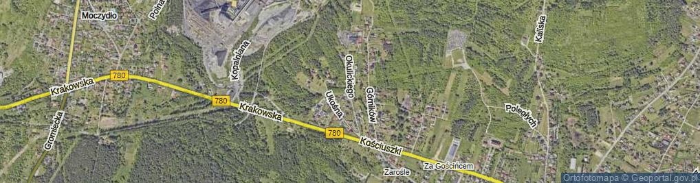 Zdjęcie satelitarne Okulickiego-Niedźwiadka Leopolda, gen. ul.