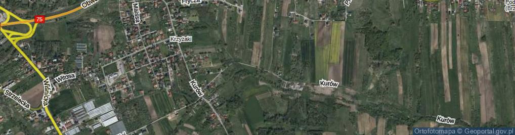 Zdjęcie satelitarne Olszynowa ul.