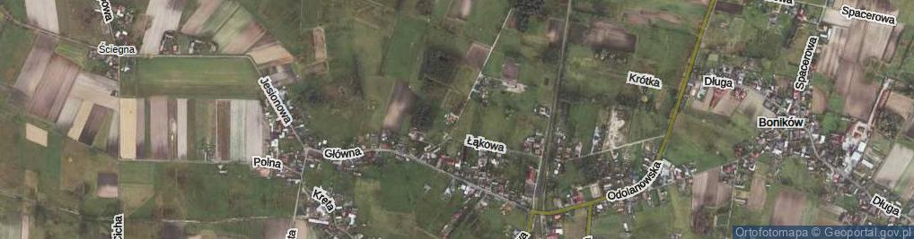 Zdjęcie satelitarne Olchowa ul.