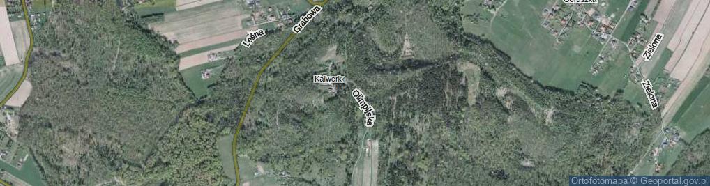 Zdjęcie satelitarne Olimpijska ul.