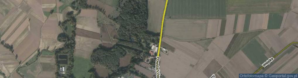 Zdjęcie satelitarne Olszynka ul.