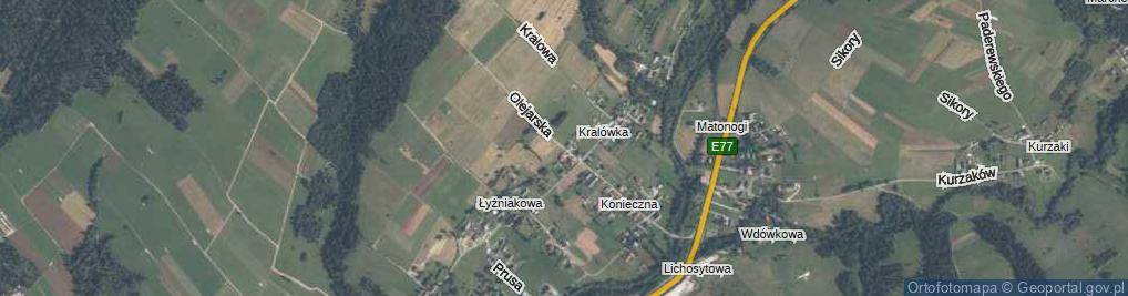 Zdjęcie satelitarne Olejarska ul.