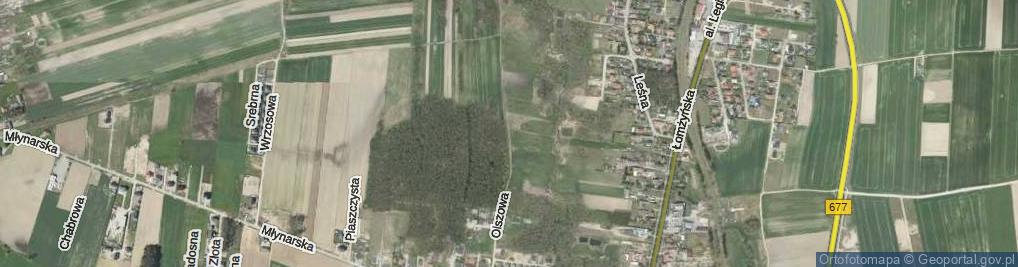 Zdjęcie satelitarne Olszowa ul.