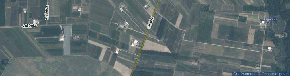 Zdjęcie satelitarne Oleśnik ul.
