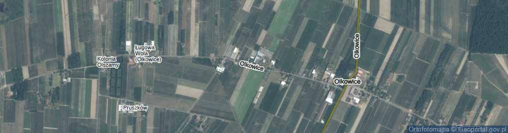 Zdjęcie satelitarne Olkowice ul.