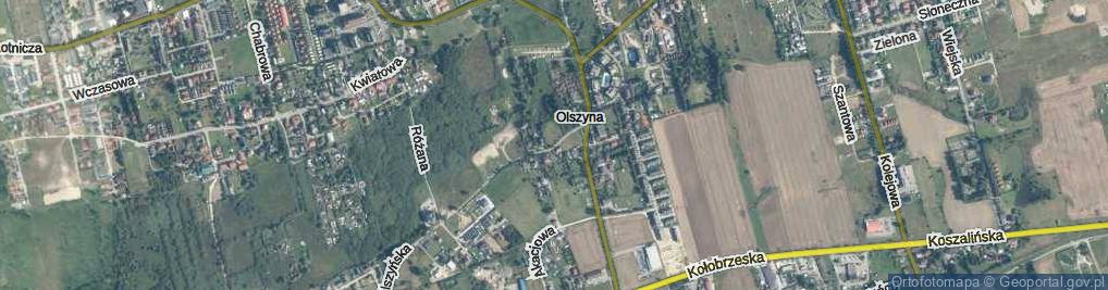 Zdjęcie satelitarne Olszyna ul.
