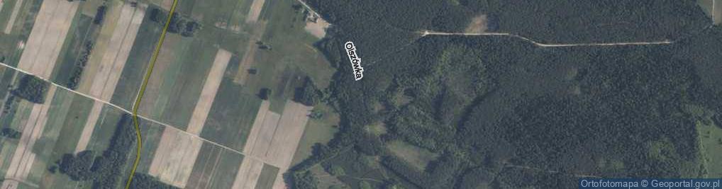 Zdjęcie satelitarne Olszówka ul.