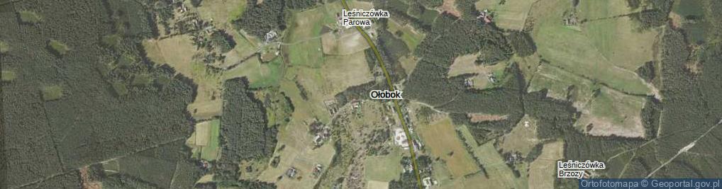 Zdjęcie satelitarne Ołobok ul.