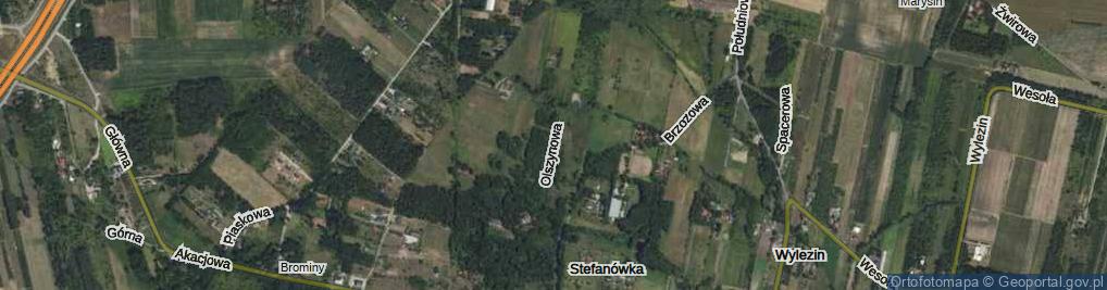 Zdjęcie satelitarne Olszynowa ul.