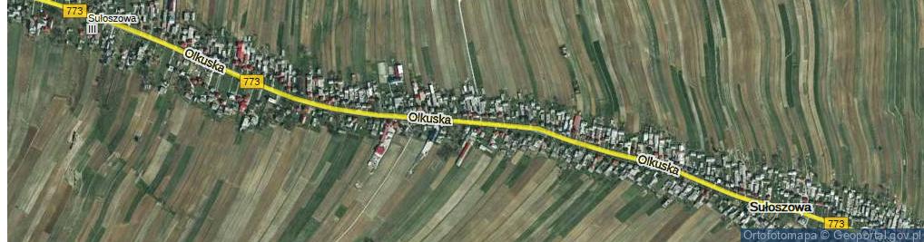 Zdjęcie satelitarne Olkuska ul.