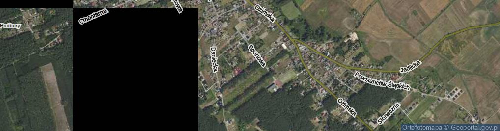 Zdjęcie satelitarne Olimpijska ul.