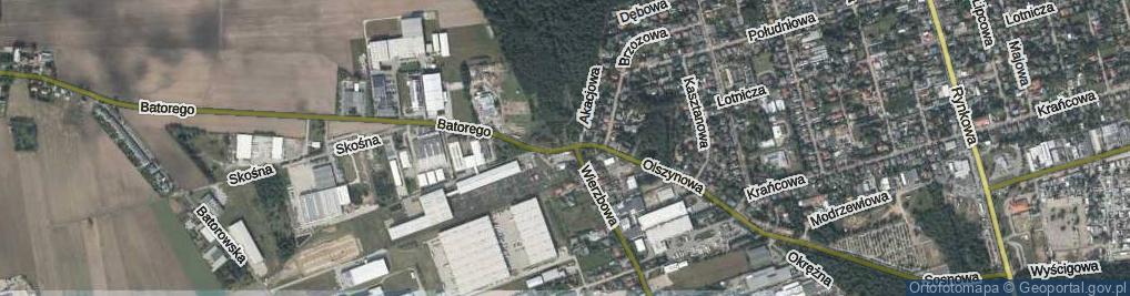 Zdjęcie satelitarne Olszynowa ul.