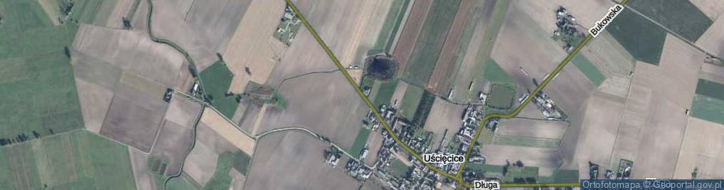 Zdjęcie satelitarne Opalenicka ul.