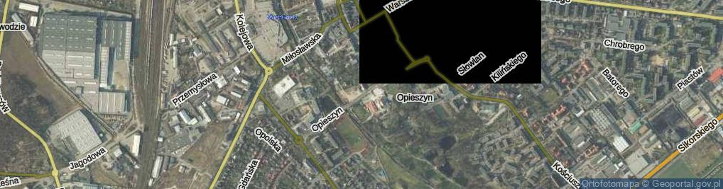 Zdjęcie satelitarne Opieszyn ul.