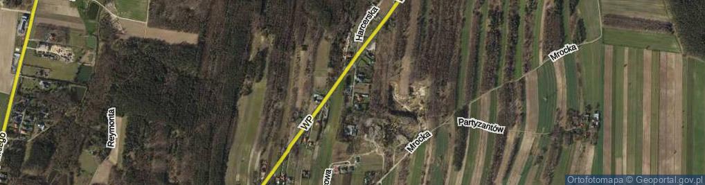 Zdjęcie satelitarne Orląt Lwowskich ul.