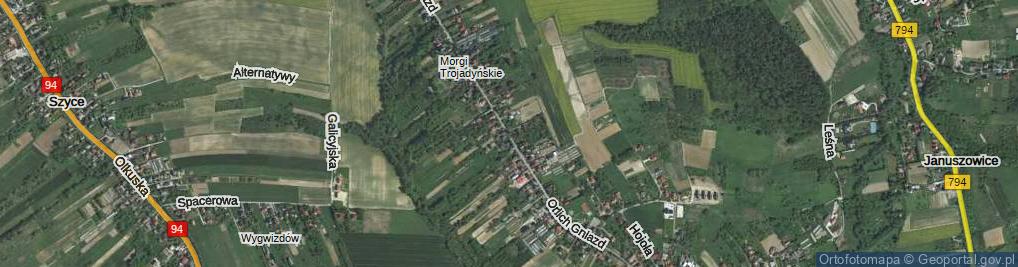 Zdjęcie satelitarne Orlich Gniazd ul.