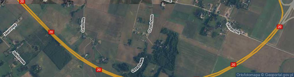 Zdjęcie satelitarne Orzechowa ul.