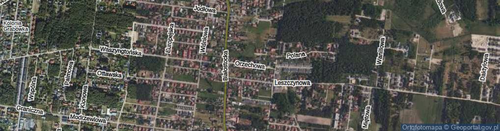 Zdjęcie satelitarne Orzechowa ul.