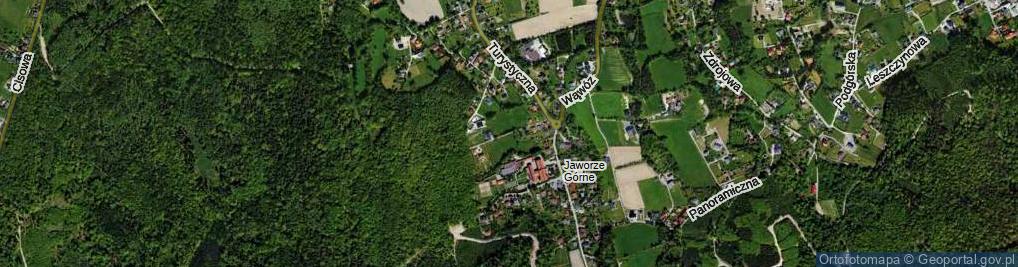 Zdjęcie satelitarne Orzechowa ul.