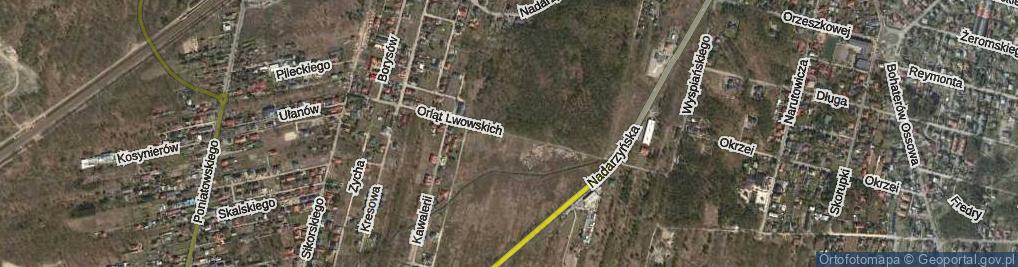 Zdjęcie satelitarne Orląt Lwowskich ul.