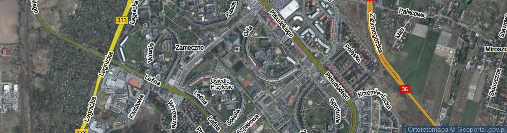 Zdjęcie satelitarne Orla ul.