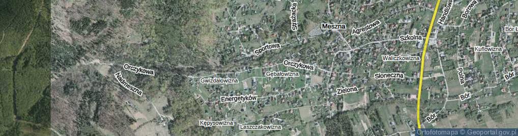 Zdjęcie satelitarne Orczykowa ul.