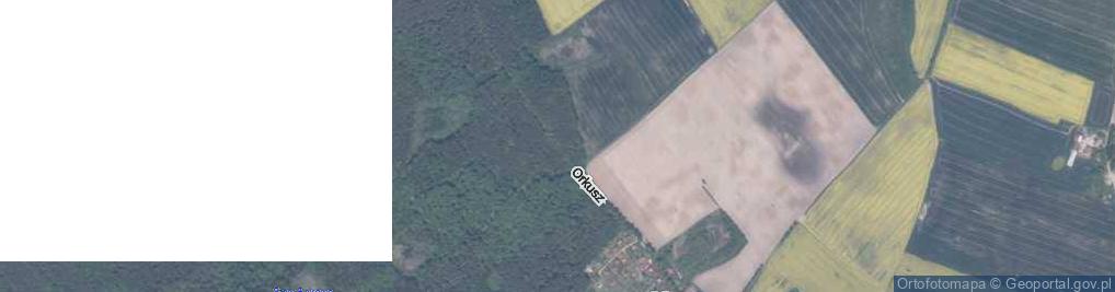 Zdjęcie satelitarne Orkusz ul.