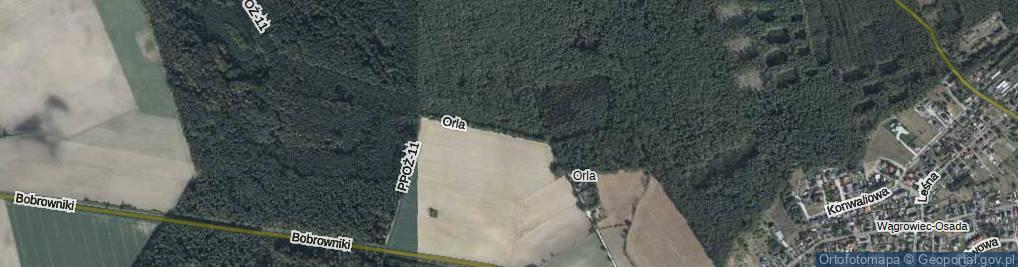 Zdjęcie satelitarne Orla ul.