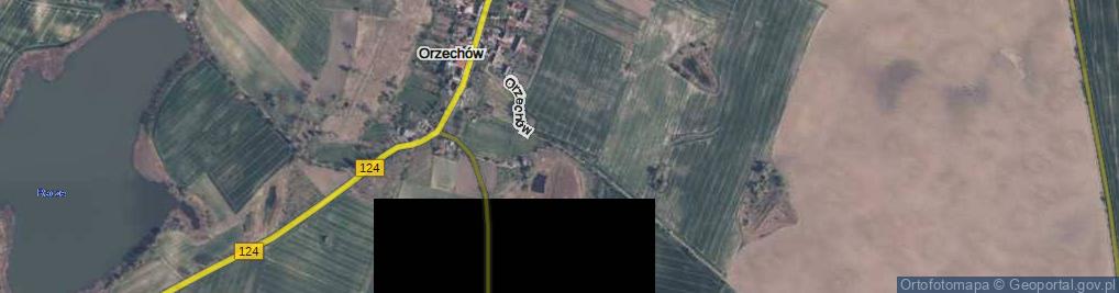 Zdjęcie satelitarne Orzechów ul.