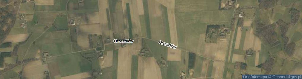 Zdjęcie satelitarne Orzeszków ul.