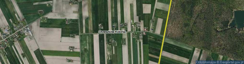 Zdjęcie satelitarne Orzeszków-Kolonia ul.