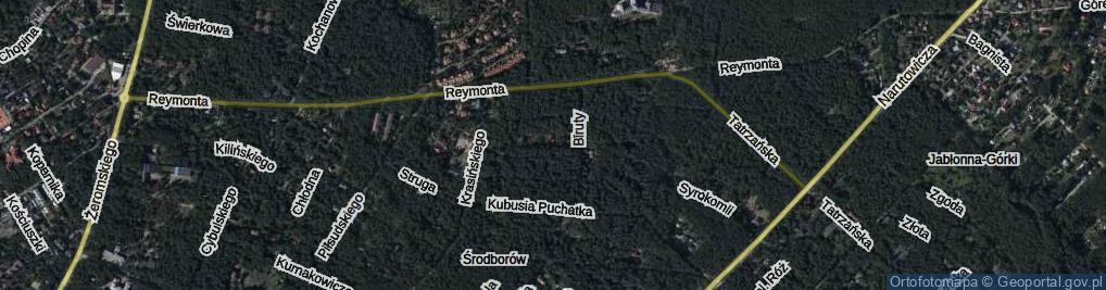 Zdjęcie satelitarne Orzeszkowej Elizy ul.