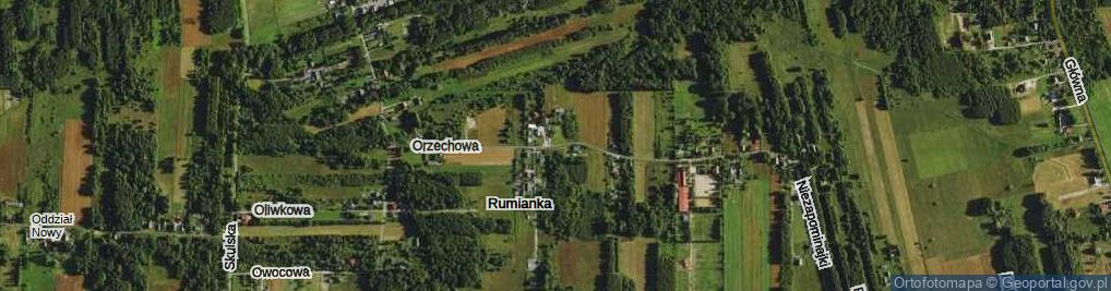 Zdjęcie satelitarne Orzechowa ul.