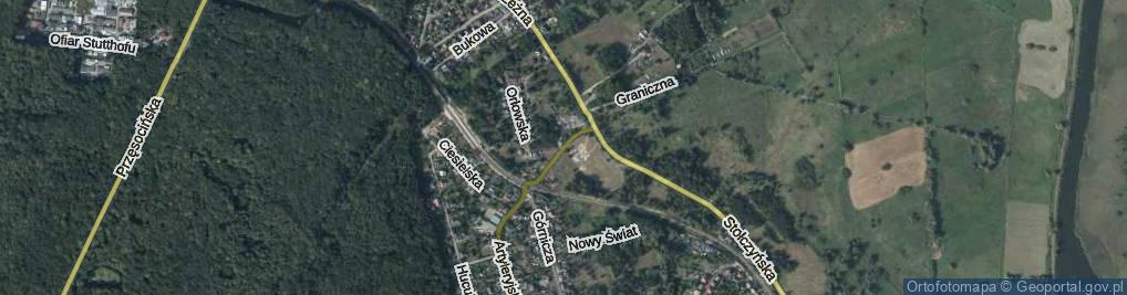 Zdjęcie satelitarne Orłowska ul.