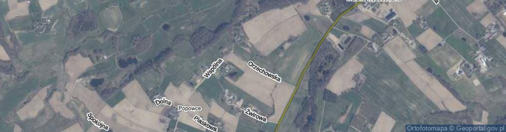 Zdjęcie satelitarne Orzechowska ul.