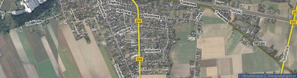 Zdjęcie satelitarne Orzechowa ul.